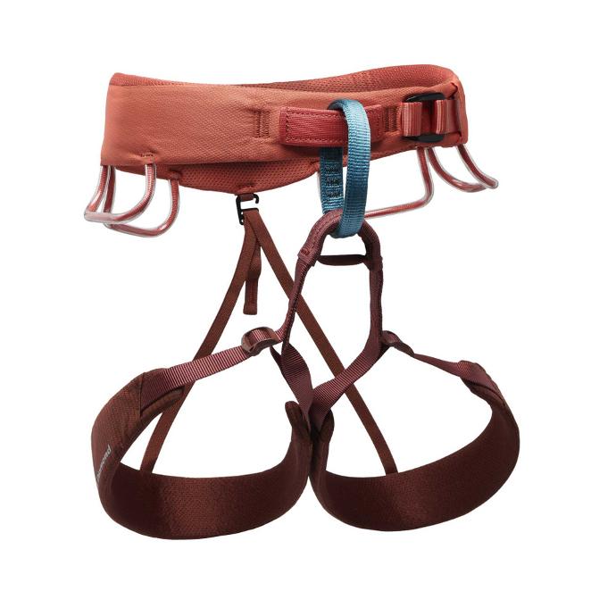 BD W MOMENTUM HARNESS