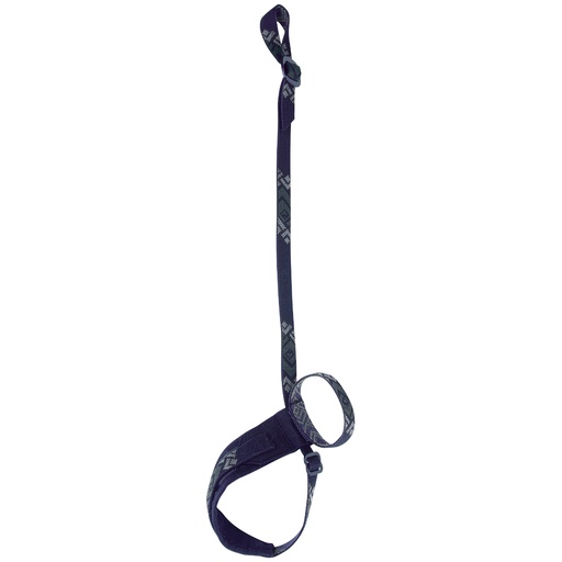 [IAA02] BD LOCKDOWN LEASH